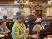 Sen. Marci Francisco, a Lawrence Democrat, tries to amend a bill that would block implementation of the Common Core standards in Kansas. The bill was carried by Senate Education Committee chairman Steve Abrams, right, an Arkansas City Republican.