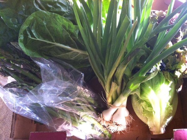 Our CSA box, minus strawberries and snap peas: Green onions, head lettuce, asparagus and Swiss chard.