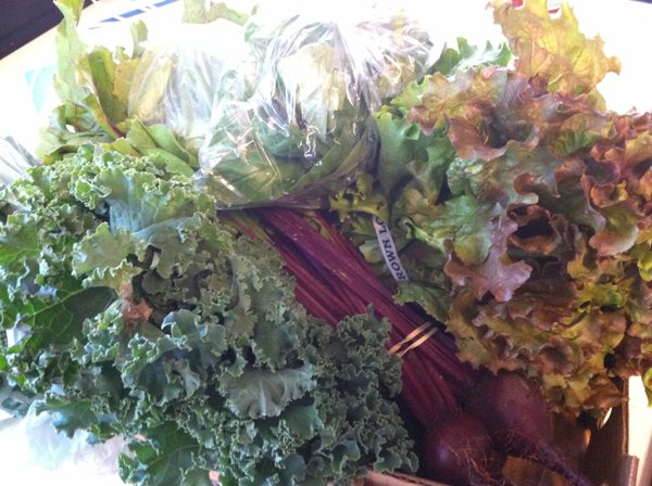 Beets, basil, head lettuce, snap peas, kale and broccoli.