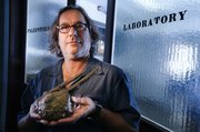 Paleontologist David Burnham and others at the Kansas University Biodiversity Institute have found what they believe is conclusive proof that the Tyrannosaurus rex was indeed a predator and not just a scavenger. Burnham is holding a cast of a fossil from a section of a hadrosaur backbone, which has a T-Rex tooth embedded within it. The fossil was found in the Hell Creek formation in South Dakota by a student of Burnham's.