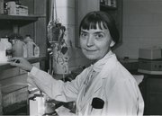 Stata Norton Ringle works in a laboratory at the Kansas University Medical Center, likely in the late 1970s.