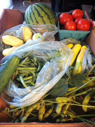 This week's goodies: summer squash, edamame, watermelon, peppers, tomatoes, cucumber, green beans.