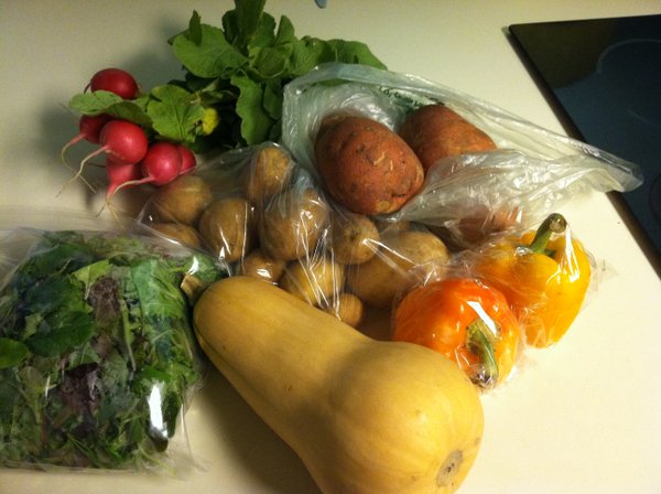 Butternut squash, salad greens, new potatoes, sweet potatoes, radishes and bell peppers.