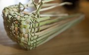 A cat-tail basket shown in progress. Ancestral arts expert Wade Myslivy hosts basketry workshops using local plant materials. He goes on foraging walks to collect natural materials which he then uses to create functional baskets and woven art.