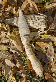 A Toronto chert limestone blade with a yellow-groove bamboo handle and a sheath made of bullrushes by ancestral arts expert Wade Myslivy.