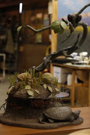 Bennett&squot;s "Web of Life" diorama, which won first place in the mixed media division of the Kansas State Fair, is composed of molds and sculptures.