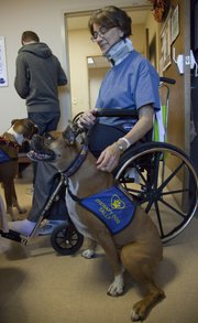 Lisa Clark, of rural Valley Falls, who introduced therapy dogs to the Lawrence school district, greets her therapy dog, Tally, 8, a boxer. Clark recently fell from a horse and broke her back and has been getting therapy from her dogs during rehabilitation in Topeka.