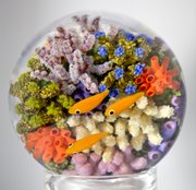 This piece of Cathy Richardson&squot;s is called the "Double Coral Reef" and is about 3 inches in diameter. All the coral and fish are individually sculpted in glass over a tiny torch flame and then assembled and encased in clear glass crystal.