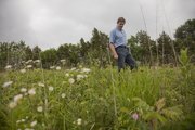 Jerry Jost, conservation director for the Kansas Land Trust, walks through Lawrence's Akin Prairie, the first piece of land protected with a conservation easement in Kansas. KLT marks the 20th anniversary of the easement with a wildflower walk on the 16-acre tract of native prairie Sunday from 1 p.m. to 3 p.m.