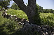 Kansas University's Prairie Acre, which lies beyond the foreground stone fence, is a small piece of prairie, approximately a half acre, established in 1932 and located on the south side of Blake Hall and the chancellor's residence, the Outlook.
