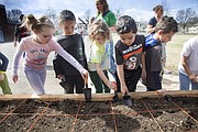 Cordley Elementary School kindergarten students plant seeds after ground is broken on a school garden, Friday, March 11, 2016.