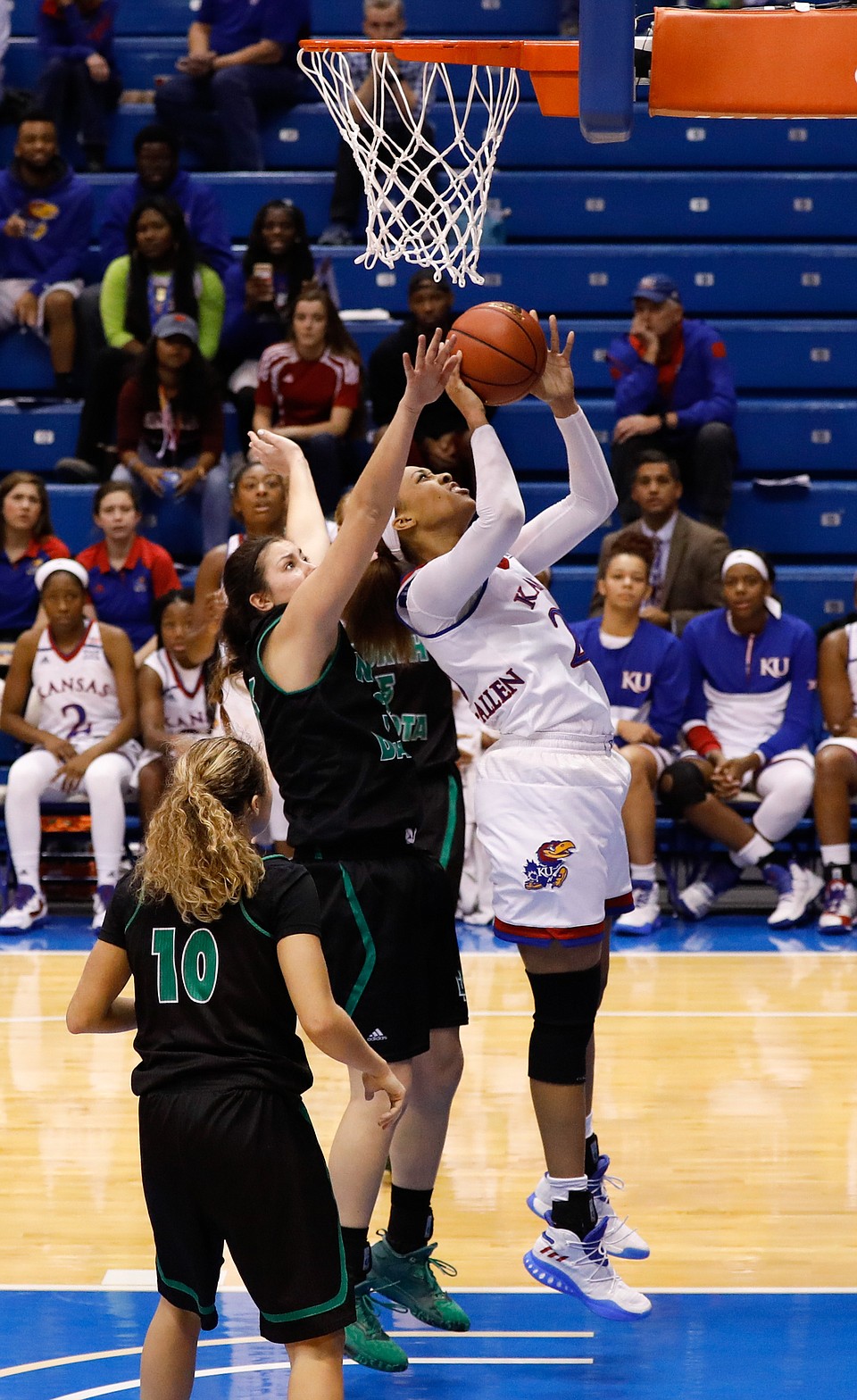 KU Women's Basketball Vs. North Dakota | KUsports.com