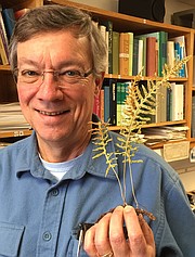 Chris Haufler is a professor of ecology and evolutionary biology at the University of Kansas. He researches plant biology, including the genetics of ferns.