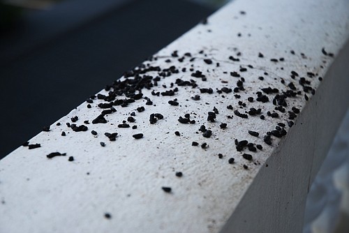 Photo detail