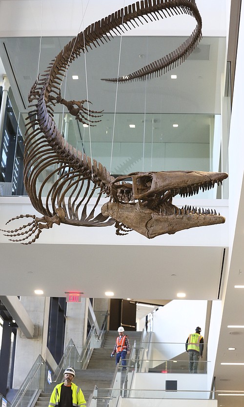 Photo detail