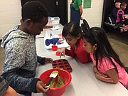 Demi Onitiri, left, fills his muffin pan with batter while his classmates, Joselyn Soria Ordaz (in red) and Aruna Cruz Cruz (in pink) offer some guidance. The Hillcrest Elementary third-graders took part in a cooking lesson Friday, Feb. 2, 2017, as part of the Lawrence district's Farm 2 School program.