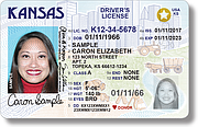 This sample image shows a new Real ID driver’s license. The licenses, intended to comply with a federal law that requires driver’s licenses to meet certain standards, are distinguished visually from old licenses by a star in the upper right corner.