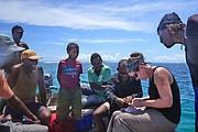 Kirsten Jensen, pictured here in khaki pants and a black tank top, studies a parasite with help from local residents in the Solomon Islands. Jensen, a professor of ecology and evolutionary biology at the University of Kansas, recently published a book of her ongoing research (with Janine Caira of the University of Connecticut) on parasites.