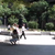 Project adds green to downtown area