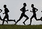 Runners participating in the Bob Timmons Dual Classic cross country meet run along the Jim Ryun skyline and past the metal silhouetted image of former KU runner John Lawson, Saturday, Aug. 30, 2014, at Rim Rock Farm.