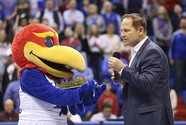Newly-hired Kansas football coach Les Miles tastes a piece of Kansas grass as offered by Baby Jay as he is introduced to the Allen Fieldhouse crowd during halftime of the Jayhawks’ game against Stanford.